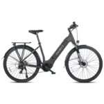 Fafrees FM9 250W 700C 45C VTC Électrique – Image 10
