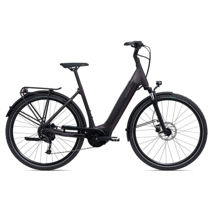 Giant DailyTour E+ 3 LDS (RideDash Evo) – Image 1