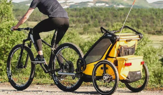 remorque vélo